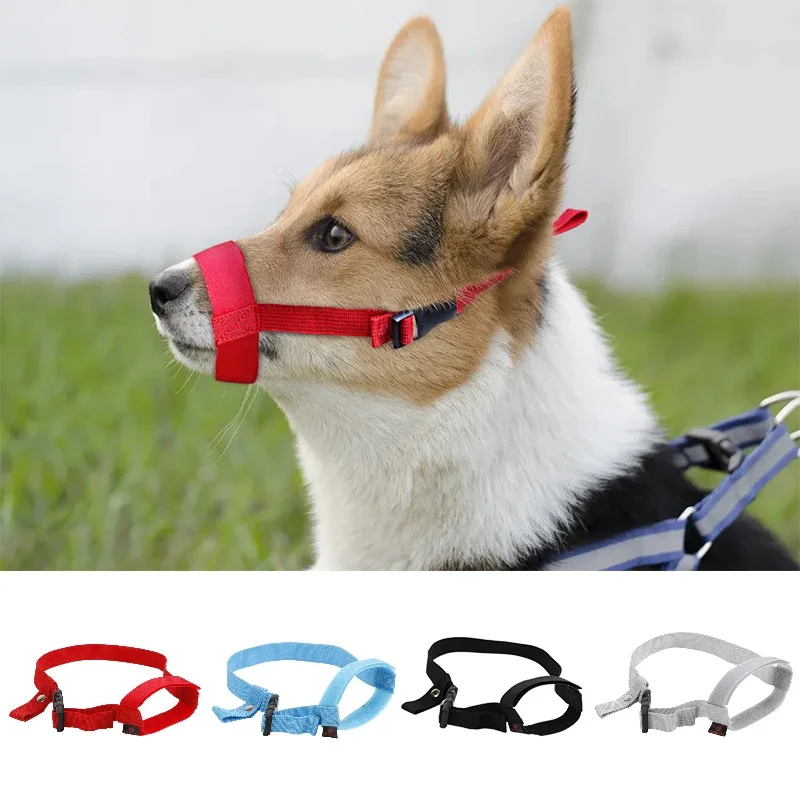 Collier Chien Lv - Colliers, Harnais Et Laisses - AliExpress