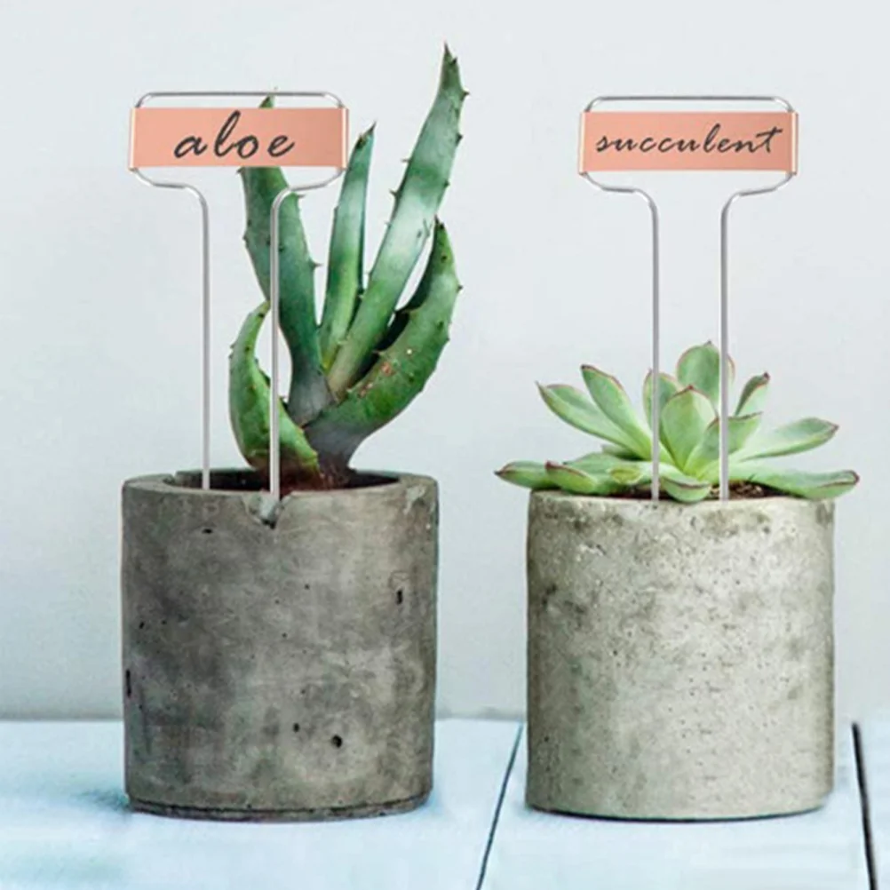 10 шт. классификационные тарелки для рассады этикетки растений медные