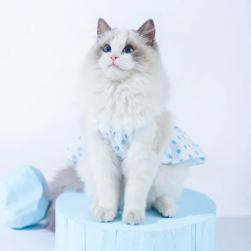 

Summer Dress Suit for Cat Clothing for Cats Dress Skirts Cats 2022 Summer Kitten British Short Puppet Pet Summer Cute Vest Skirt