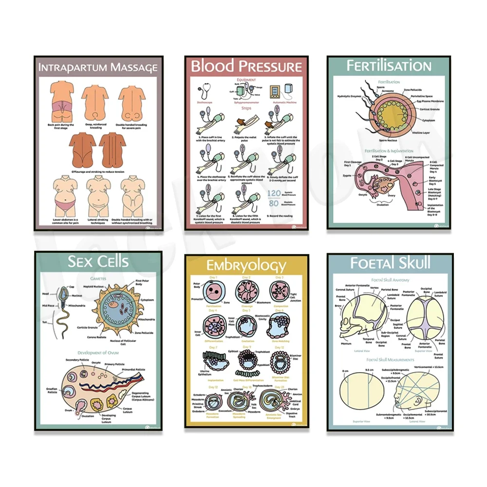 Экзология кровяное давление фетальный череп образование внутреннего массажа
