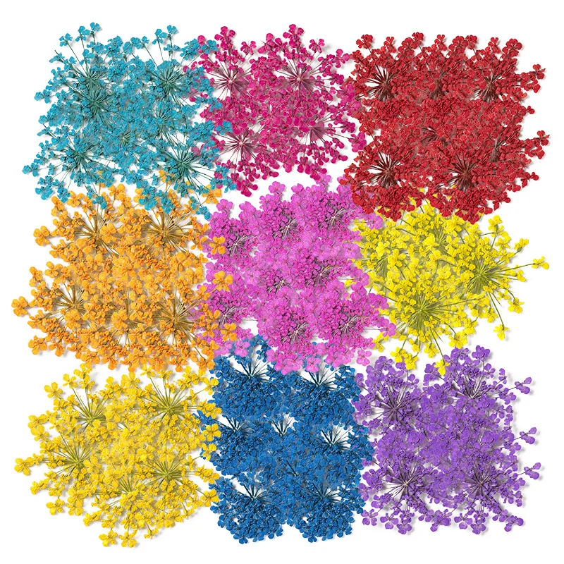 24 шт./1 5-2 5 см натуральный Снежный бисер прессованный лепесток цветов капельная