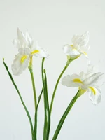 Необычное украшение для сада или даже устрашение#3