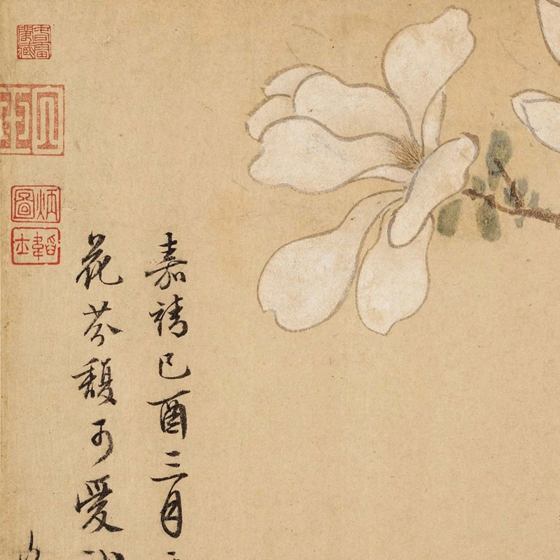 Mingwen Zhengming новый продукт Белая фотография Репродукция домашнего декора картина в