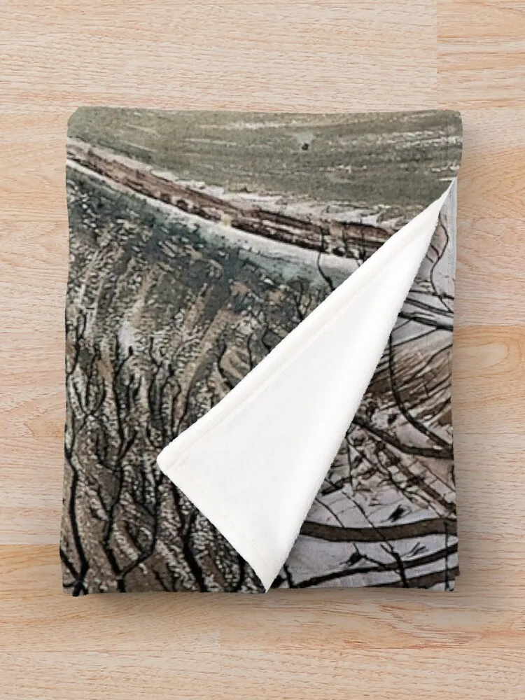 Эрик Войлизный Peintre Равильская гравюра sur bois Равительный арт. Плед декоративное