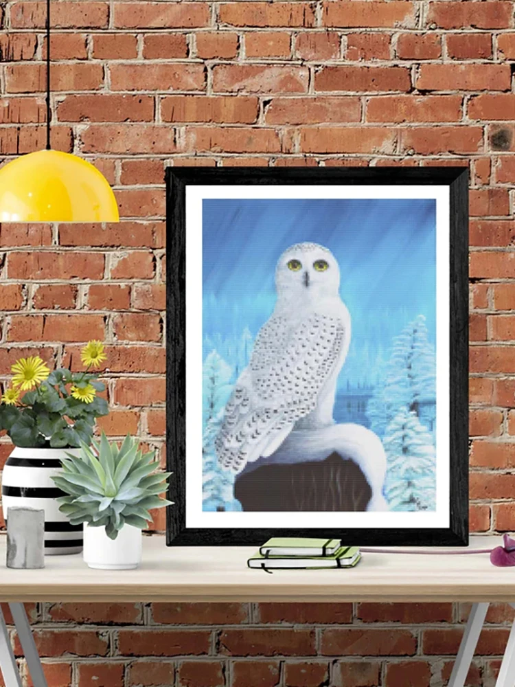 

DIY-5D Diamond Painting Ice and Snow Owl Splice Set Full Diamond Embroidery Mosaic Picture Closed