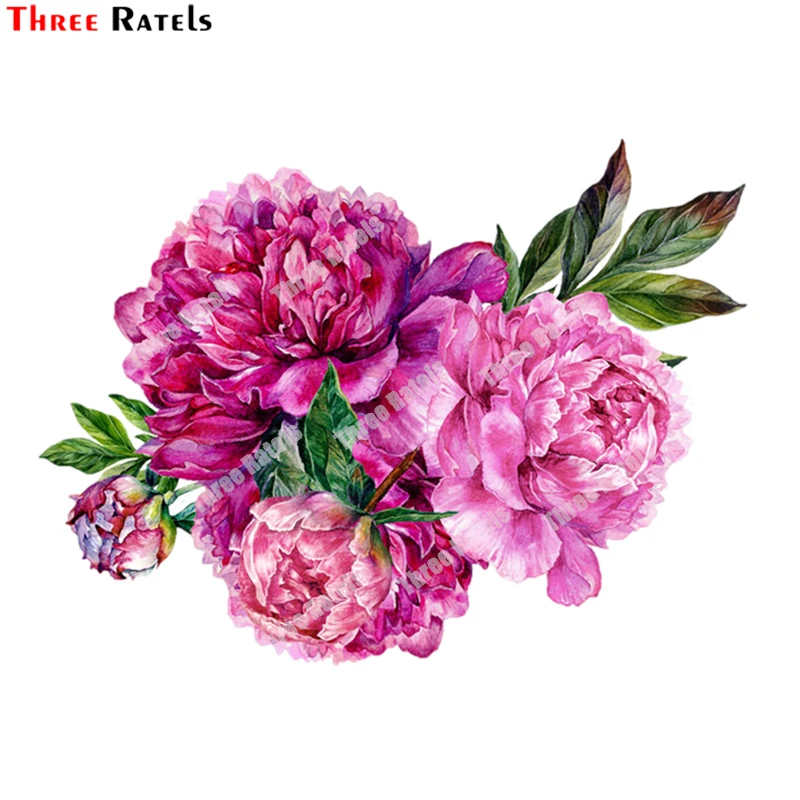 

Три Ratels B175 красивые пионы цветы Моделирование Декор Автомобильные наклейки Высокое качество графика