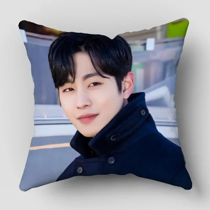 Наволочка для подушки Ahn Hyo Seop квадратная Женская наволочка сатиновая ткань