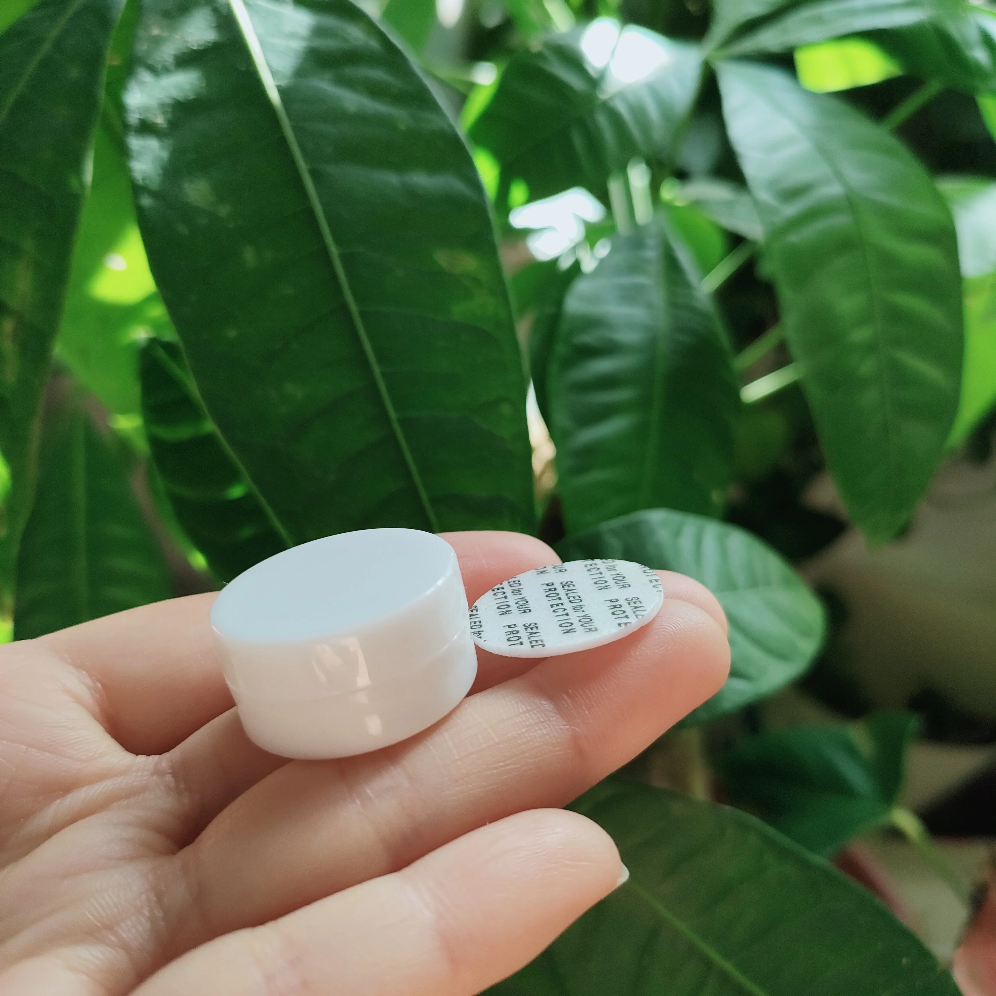 1 г белая черная банка для теней век прозрачная бутылка крема лица аксессуары