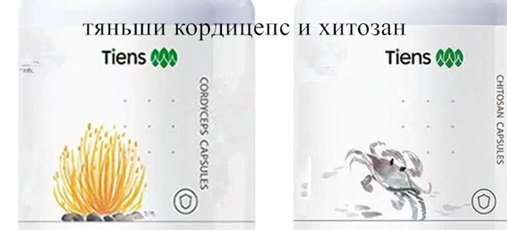 

Tianshi Cordyceps and Chitosan Packaging Chinese Language