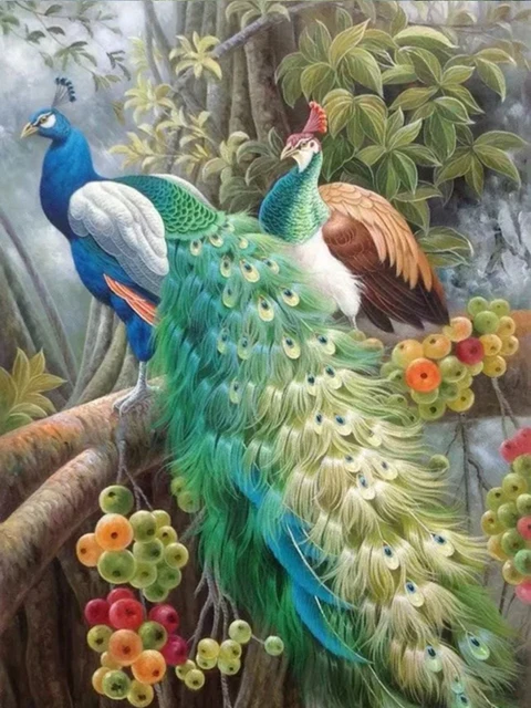 Индокитайский павлин. Павлины в саду. 5 павлинов. Пальвин птица. 5 павлинов.