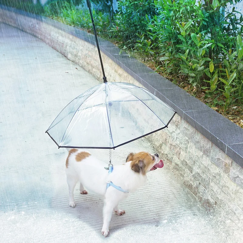 

Pet Umbrella Leash Cat Raincoat Pet Assembled Umbrella Rainy Day Small Dog Leash Cat Rain Gear With Dog Leads Keeps Pet Supplies