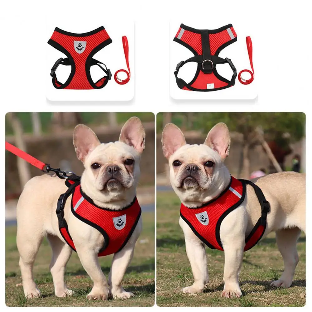 

Универсальный яркий цветной защитный ремень для щенков на открытом воздухе