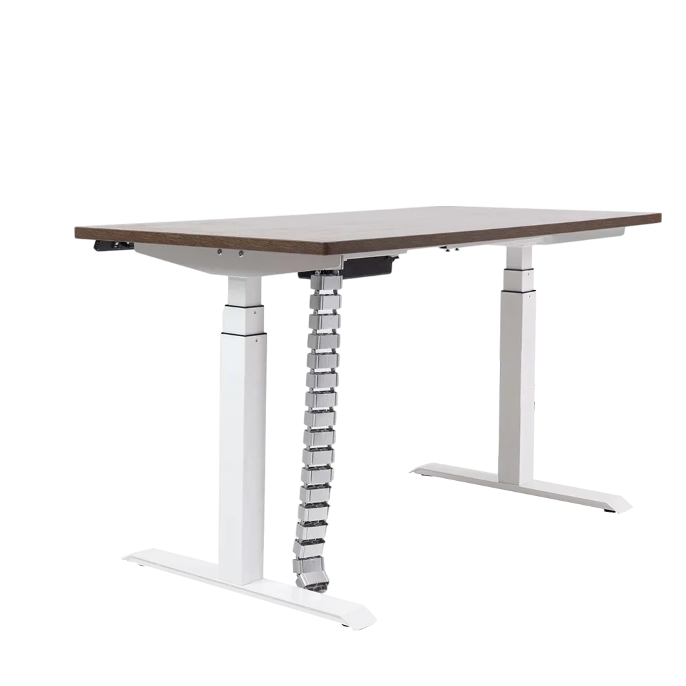

Ergonomic Home Office Electric 3- Segment Column Dual Motor Sit Stand Desk Adjustable Study Standing Desk lift drafting table