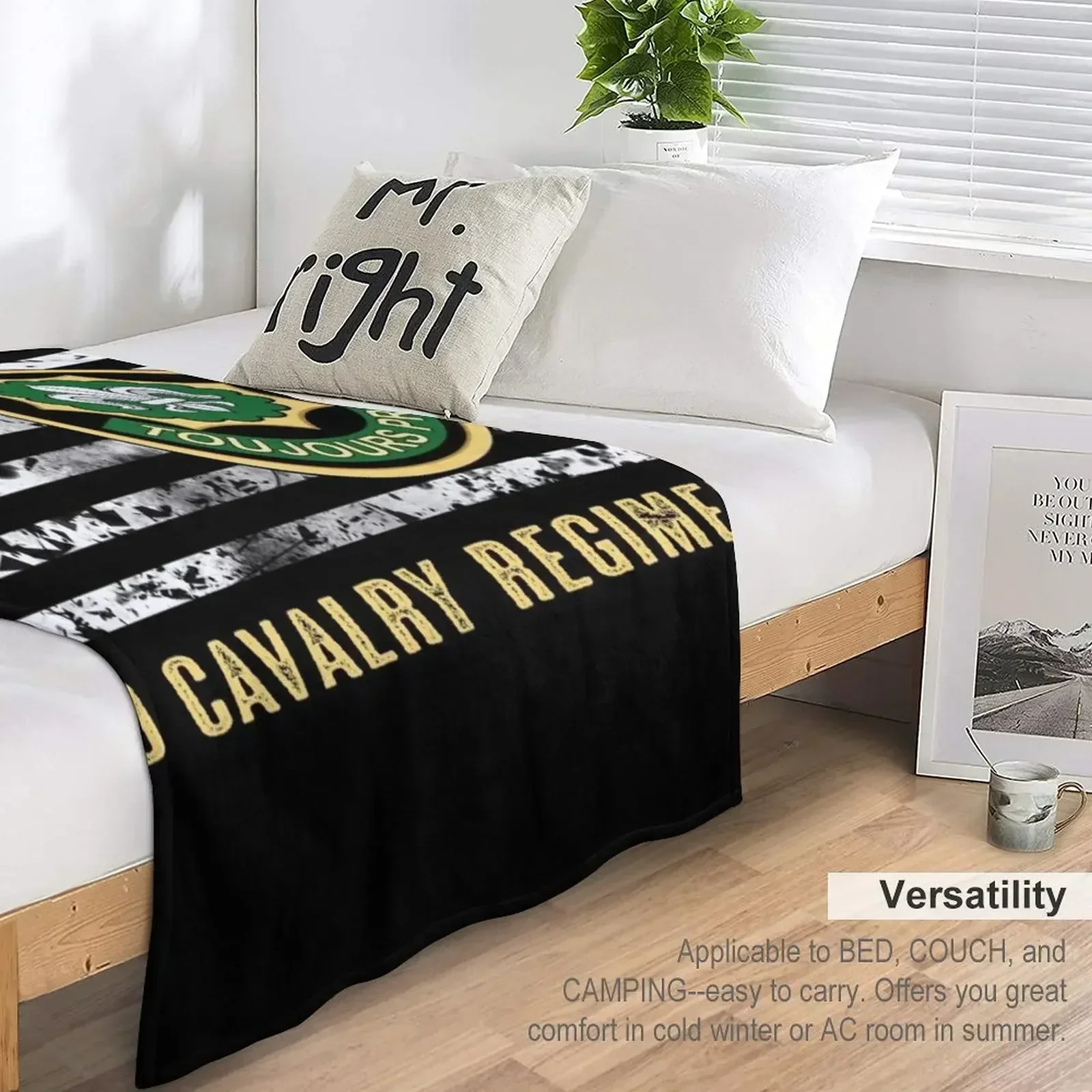2-й кавалерийский полк декоративное одеяло декоративные диваны одинарные одеяла