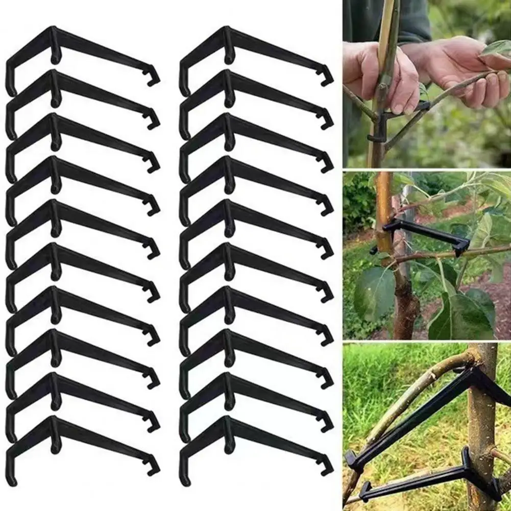 

Sturdy Branch Holder Convenient to Use Adjustable Branch Height Easy Installation Branch Spreader Balcony Accessory