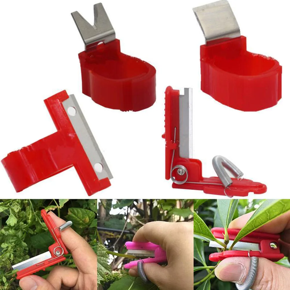 

Vegetable Fruit Harvesting Picking Tool Vegetable Thump Knifes Separator Garden Picking Guillotine Farm Orchard Gardening Tools