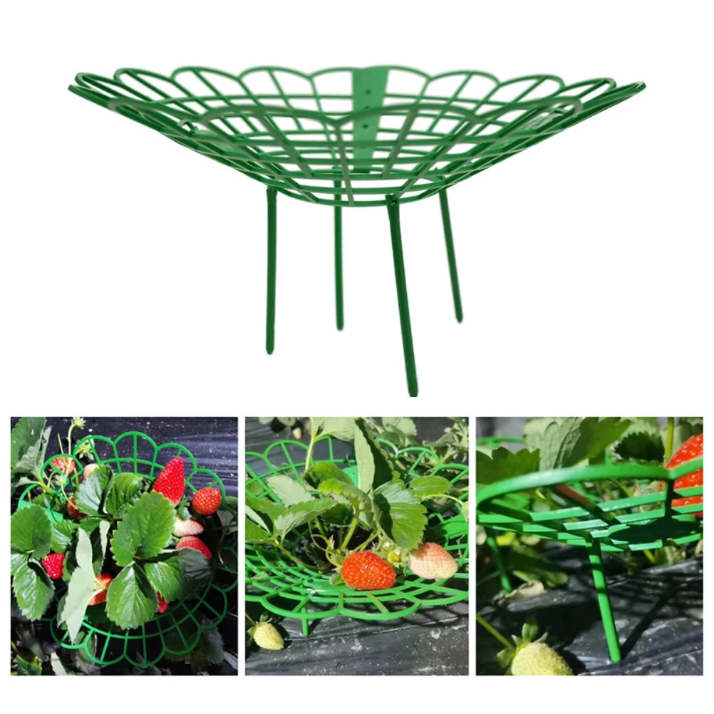 

5 шт., подставка-держатель для овощей и фруктов