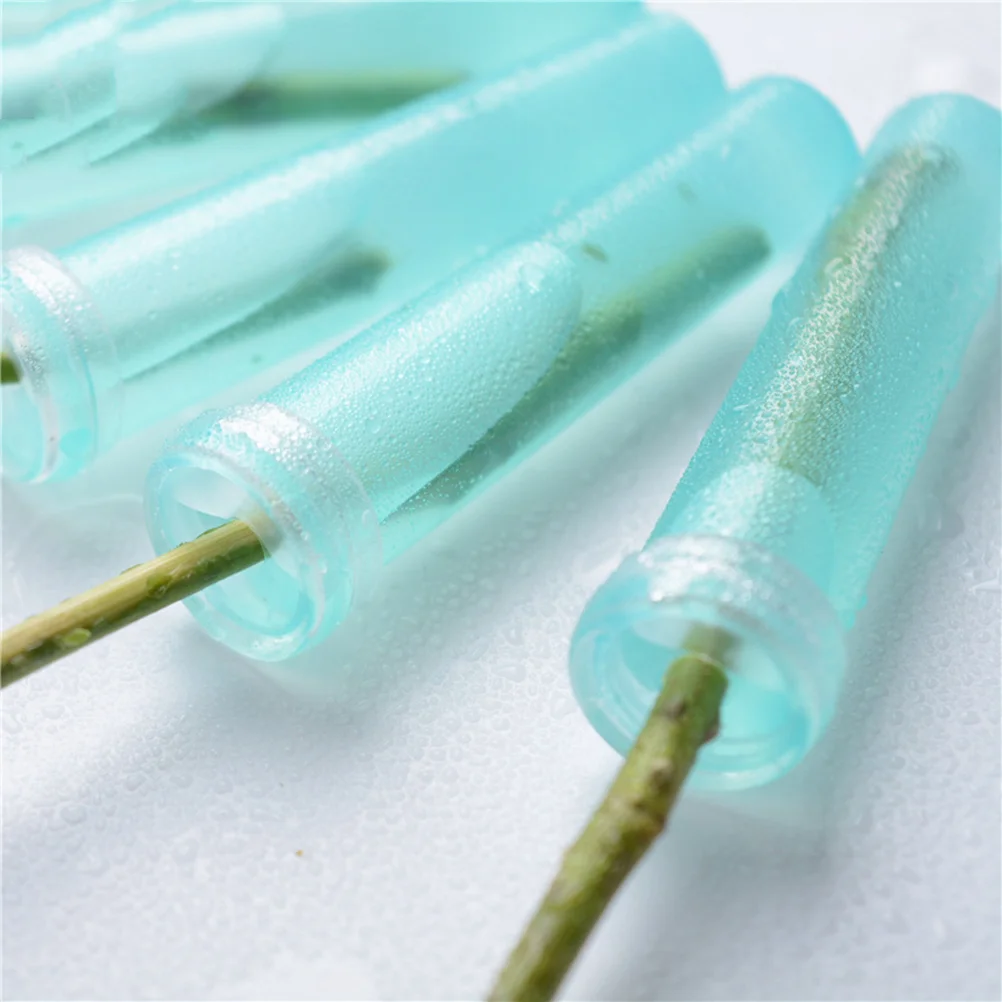 

Flower Tubes Water Tube Vials Picks Floral Vial Stem Arrangements Clear Rose Growing Nutrition Fresh Supplies Shop Flowers