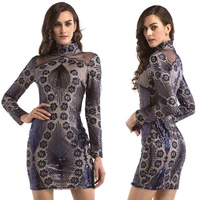 new popular european and american womens nightclub party sexy mesh perspective long sleeved embroidered sequin dress