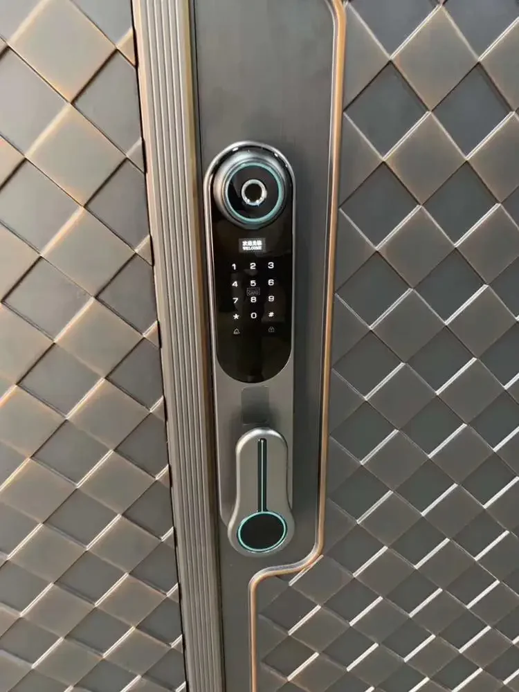 Заводской экспорт электронный Умный Цифровой Дверной замок с отпечатком пальца