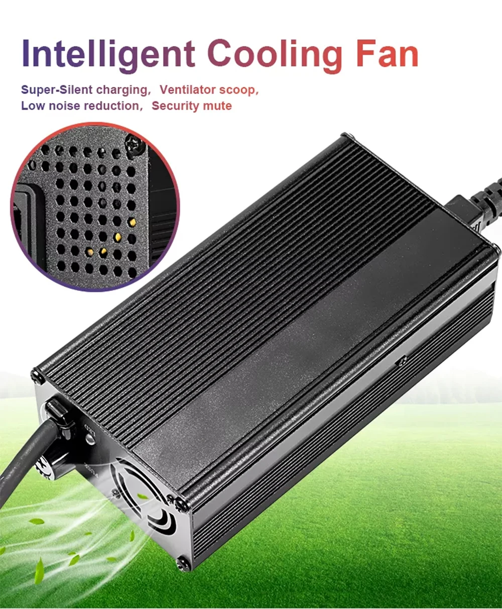 3.65V 20A 10A 25A Smart LiFePO4 Cell Lithium Auto Charger For 1S 3.2V Lithium Iron Phosphate Rechargeble BYD EVE CATL CALB Cell