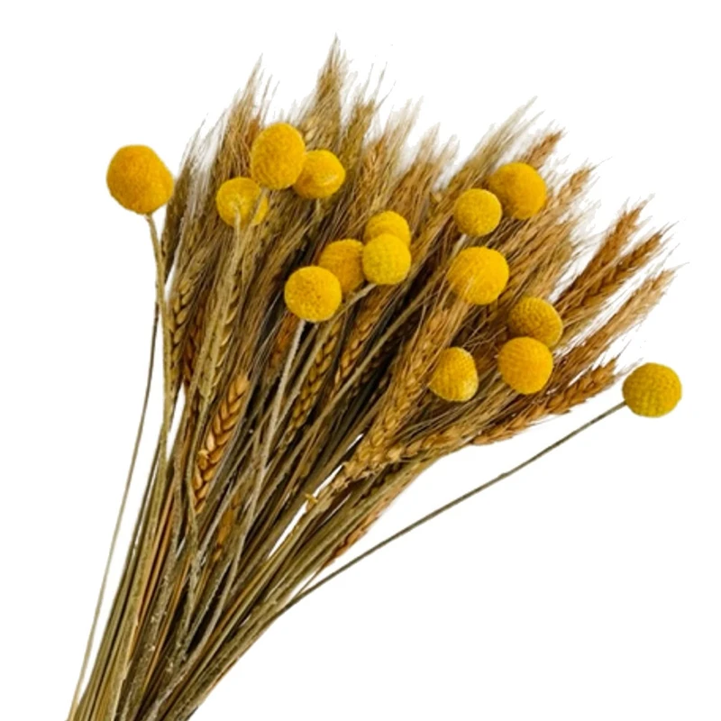 

100 шт. высушенные стебли пшеницы для декора и 15 стеблей желтые блестящие искусственные цветы для украшения осени