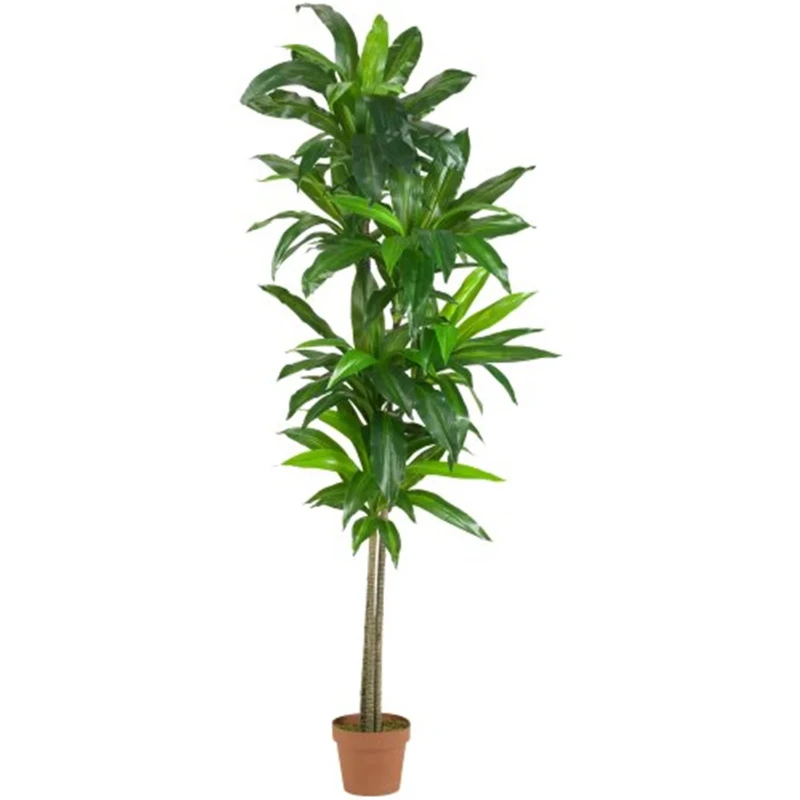 

6' Dracaena Artificial Plant (Real Touch), Green