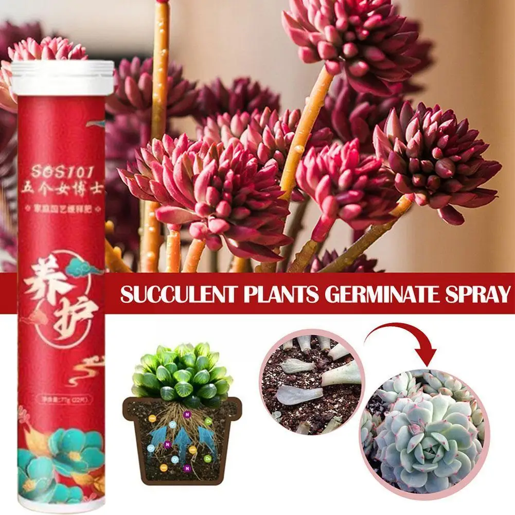 

22 Tablets Gardening Universal Slow-Release Tablet Plant Nitrogen Flowers Phosphorus Release Fertilizer Slow Potassium Agen C6P0