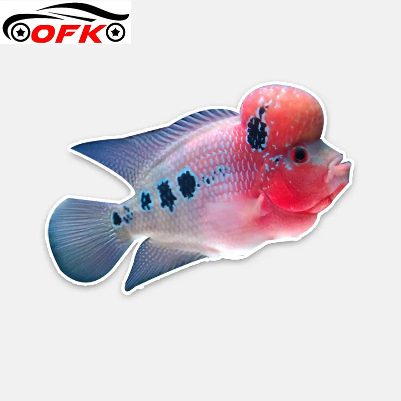 

Personalized Animal Grouper PVC Waterproof Decal Car Sticker 16CM*11CM