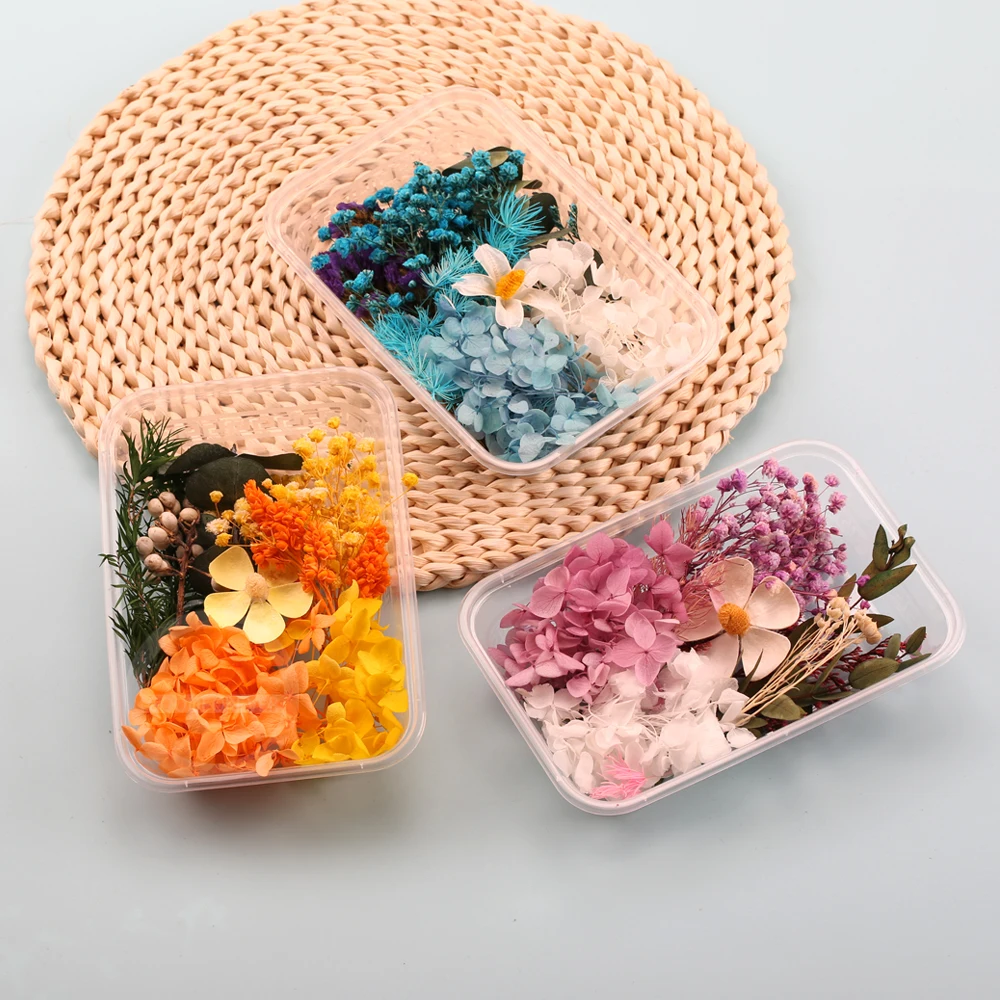 1 Box Natural Real Dried Flowers for Resin Artificial Plants Diy Home Decoration Candle Molds Crafts Tools  Making Accessories images - 6