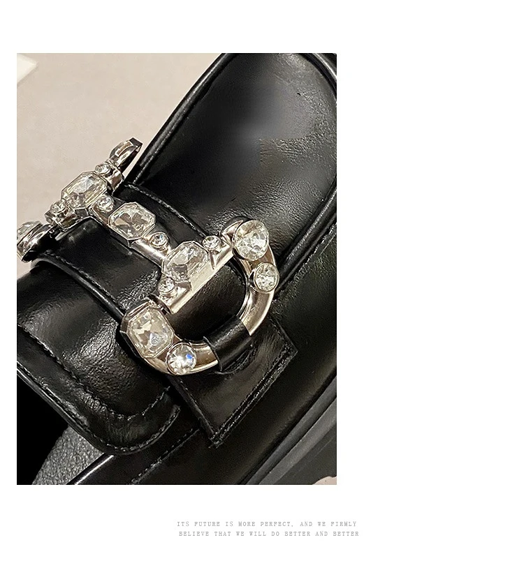 Platform Loafers Women Casual Round Head Retro British Style Chunky Heel Shoes for Women Spring Autumn New Mary Jane Shoes