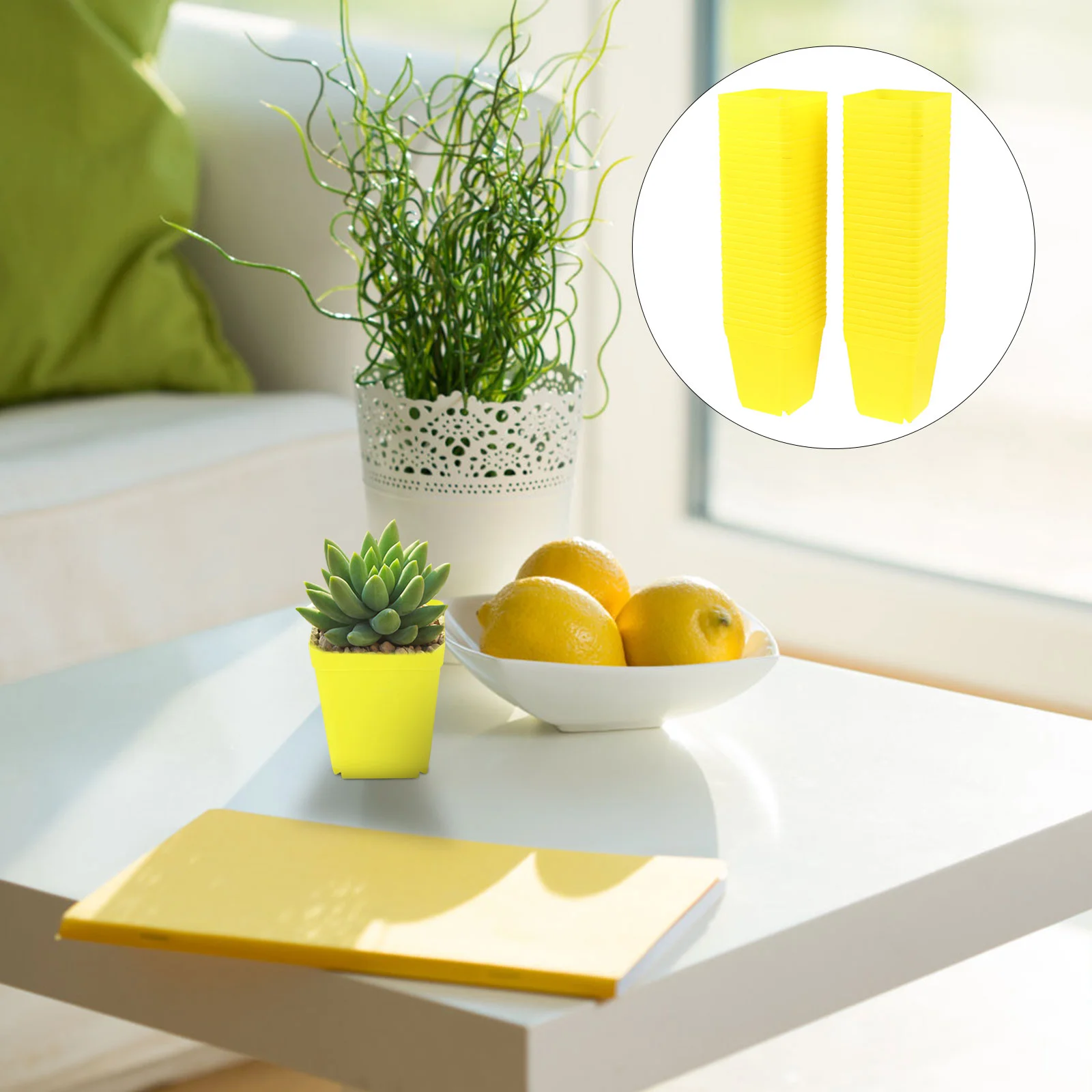 

Pot Starter Pots Growing Planter Starting Trays Base Container Greenhouse Kit Nursery Decorative Garden pots & planters