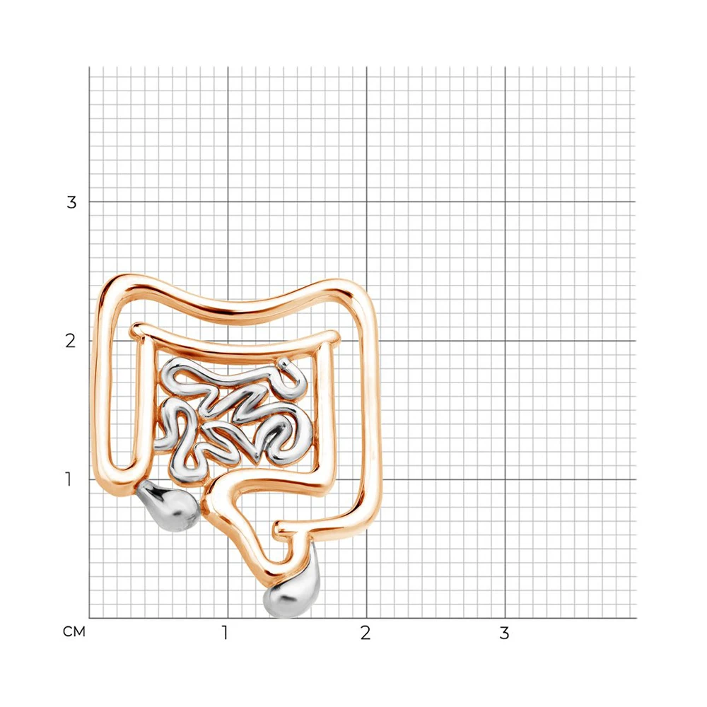 Медицинская брошь для кишечника Hanreshe пищеварительная система медицина