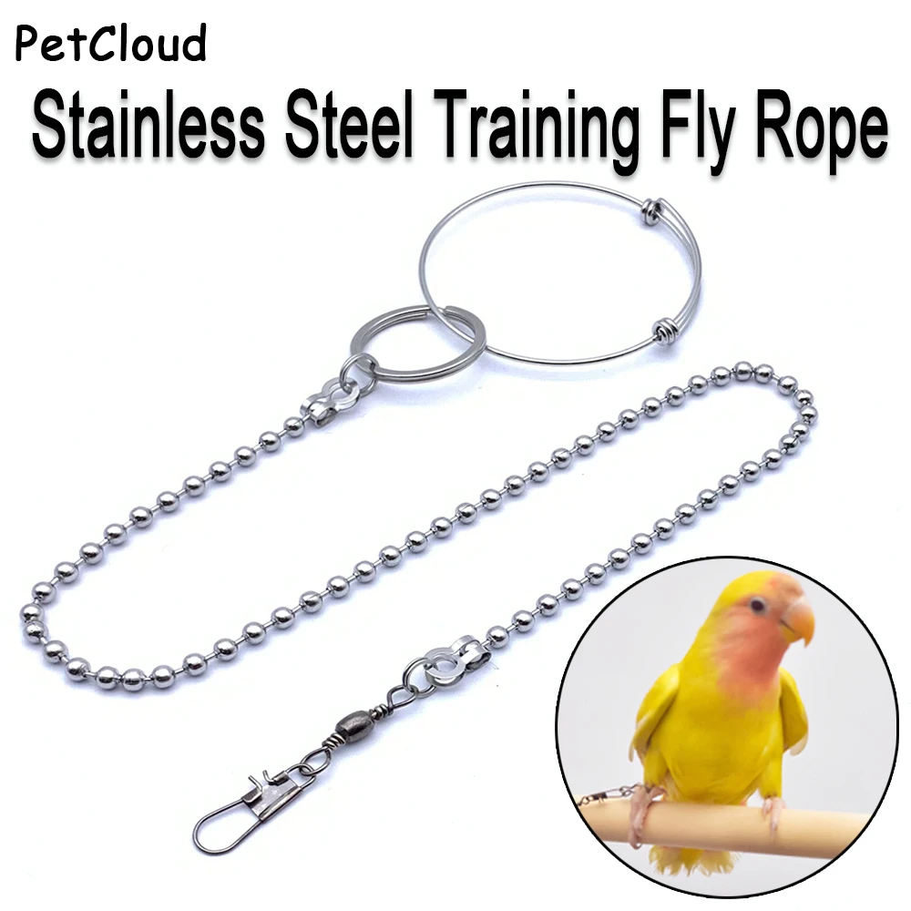 

Кольцо-подставка из нержавеющей стали для обучения птицам