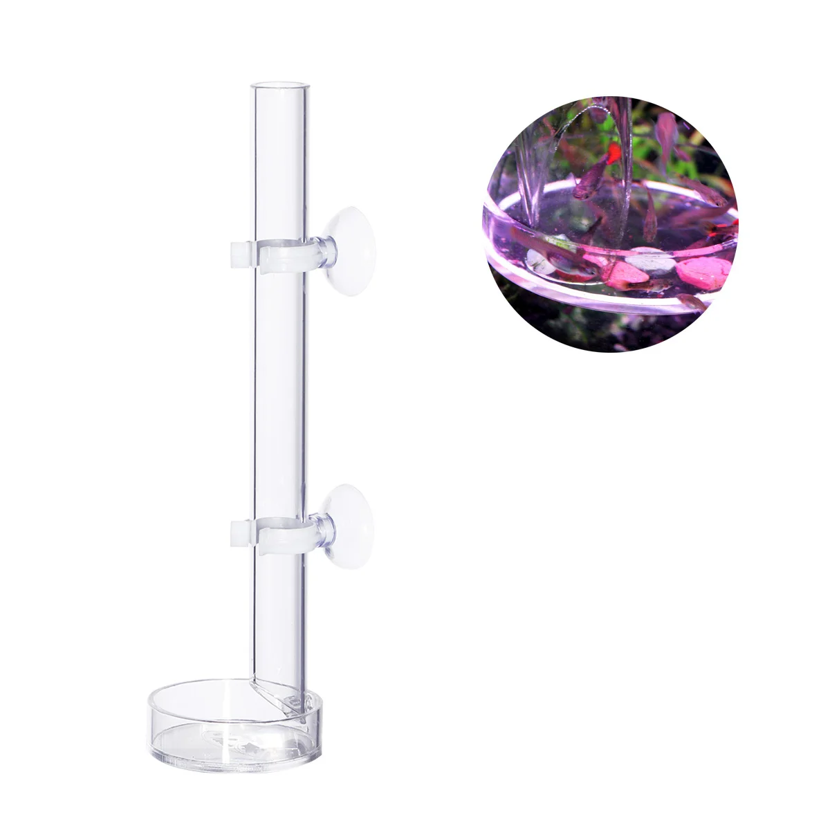 

Shrimp Feeding Tube Feeder Dish Aquarium Tank Tray Acrylic Bowl Automatic Crystal Ring Brine Supplies Clear Betta Cone Station