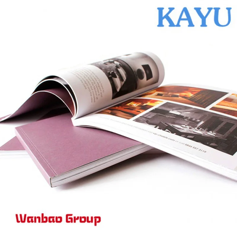 

Custom Custom printing booklet,catalogue,flyers,leaflet,brochure,magazine CMYK coloring