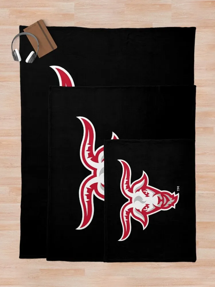 Инженеры wpi Worcester одеяло мягкие одеяла для сна