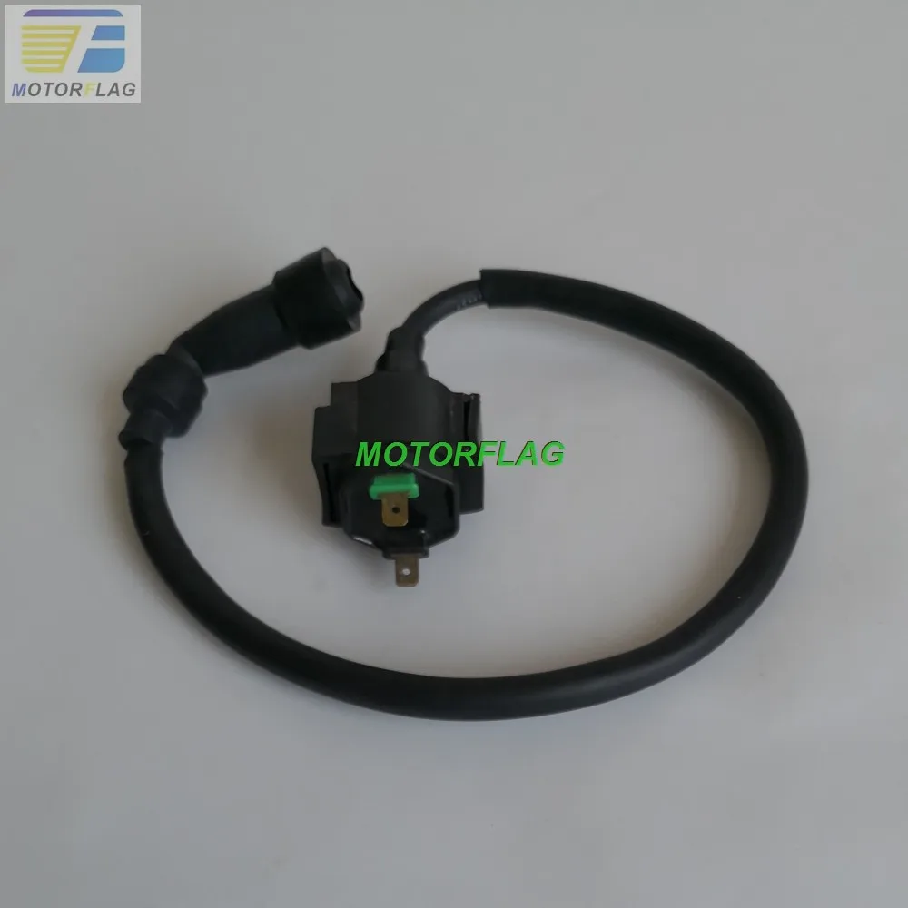 

Катушка зажигания для Rebel CA 250 CMX 250 Regal Raptor DD250 KEEWAY Patagonian Eagle 250 Leonart Spyder 125 JIALING JL250 Sinski 250