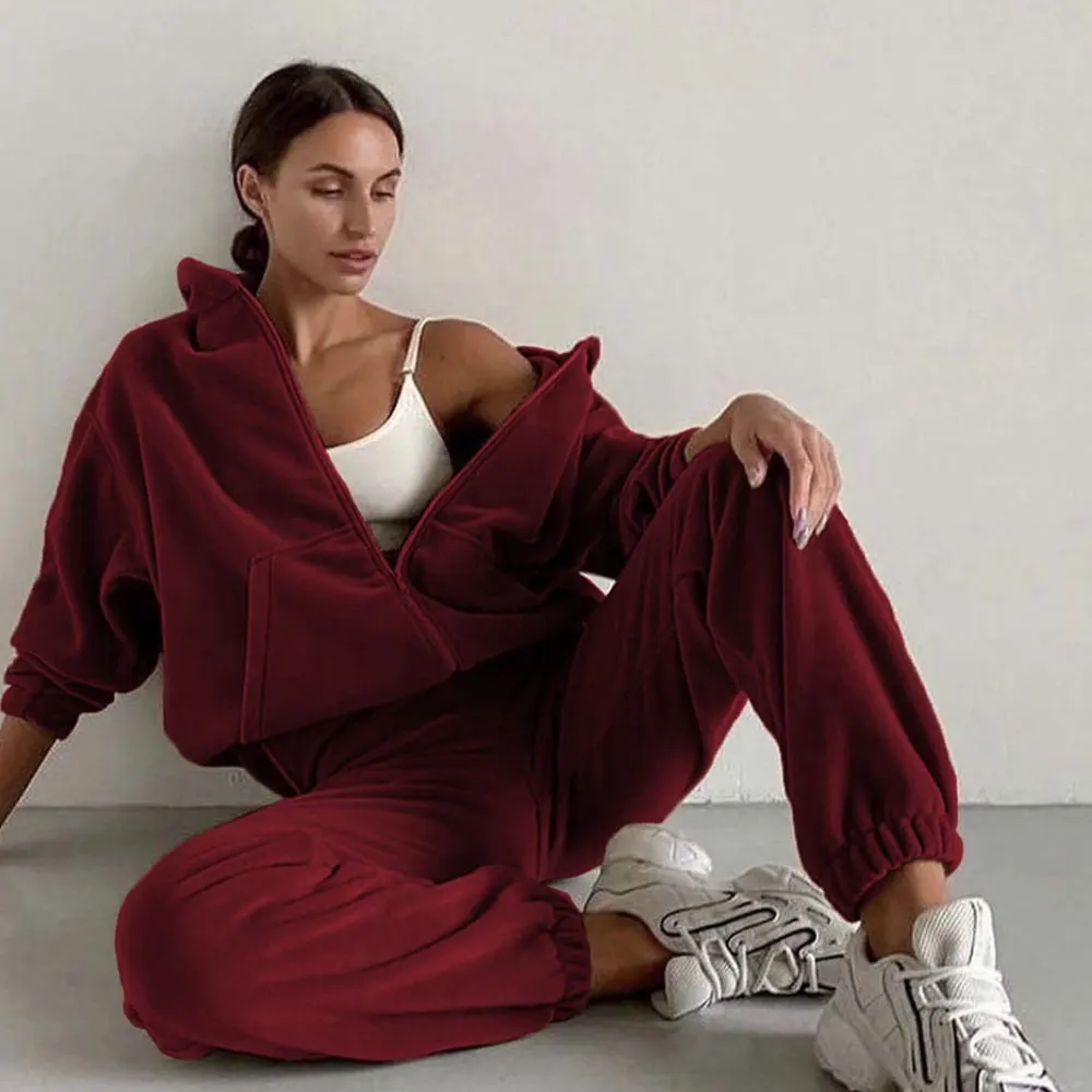 Autumn 2022 Women's Brand Velvet Fabric Tracksuits Velour Hoody Track Suit Hoodies and Pants Oversized Sportswear Two Pieces Set