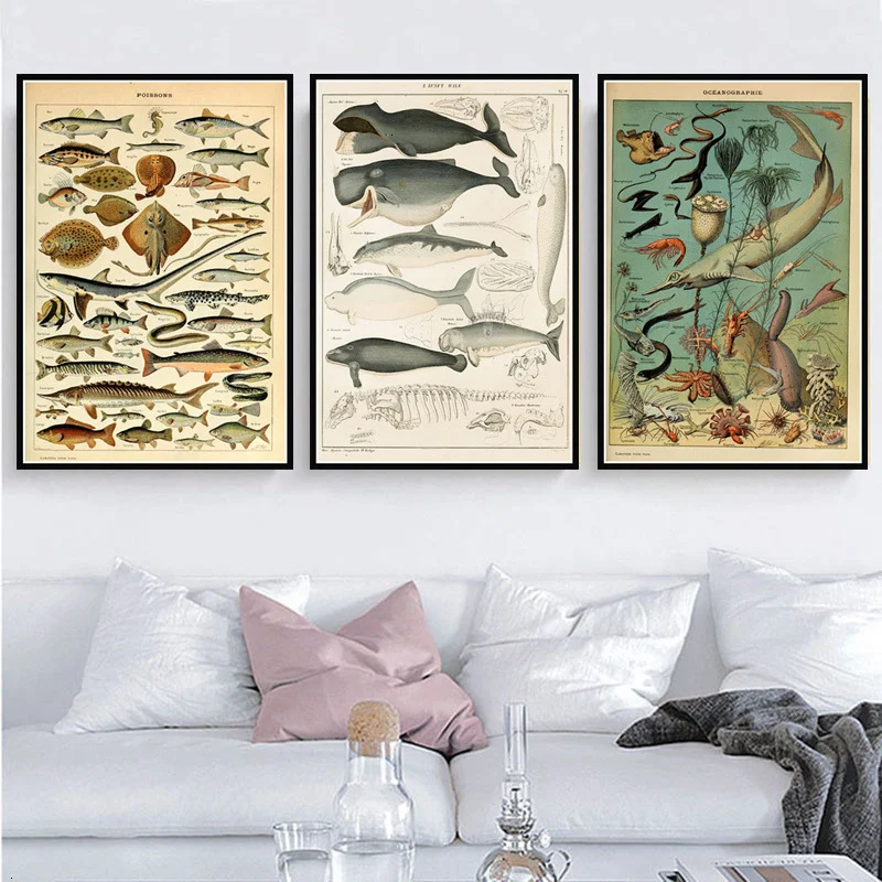 

Ocean Sea Shell Fish Animal Canvas Painting Posters And Prints Wall Art Picture Vintage Life Chart Biology Decoration Home Decor