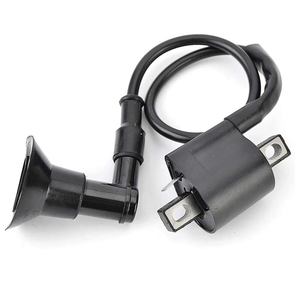 Фото Катушка зажигания для Aeon ATV, Minikolt Revo Cobra 50 100, CPI ATV Crab 50 100, Access ATV 50 100, Can-Am ATV Mini DS 50 90 №1
