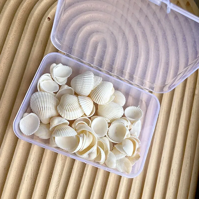 

Мини раковины Средиземноморье