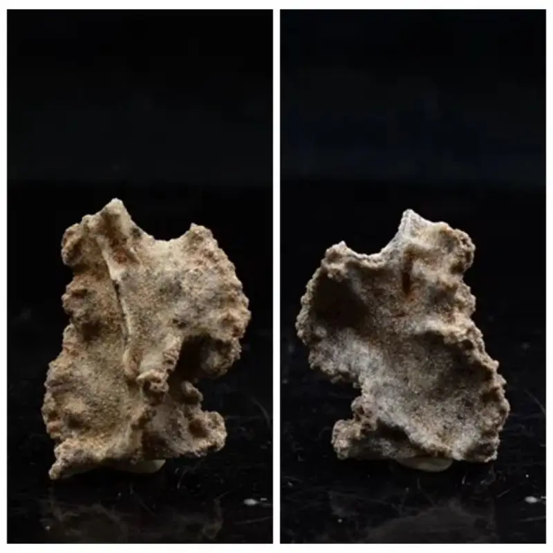 1Pcs Nature Stone Natural Lightning Lava Thunderstone Natural Rock Specimen Collection Of Strange Stones