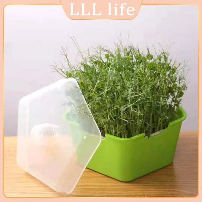 

Dampproof Plastic Tray For Peanut And Garlic Seedling Cultivation Make Sowing More Paper Efficient Ventilate Safe Materials