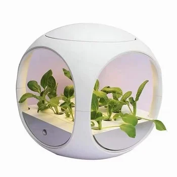 

Smart automatic hydroponic indoor watering system home hydroponic pot sunshine growing plants