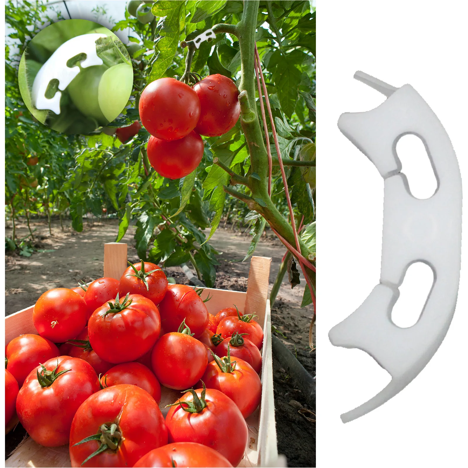

Vegetables Tomato Fixing Clips Prevent Bending Support Clamp Plant Upright Clamp Vegetables Tomato Fixing Clips Dropshipping