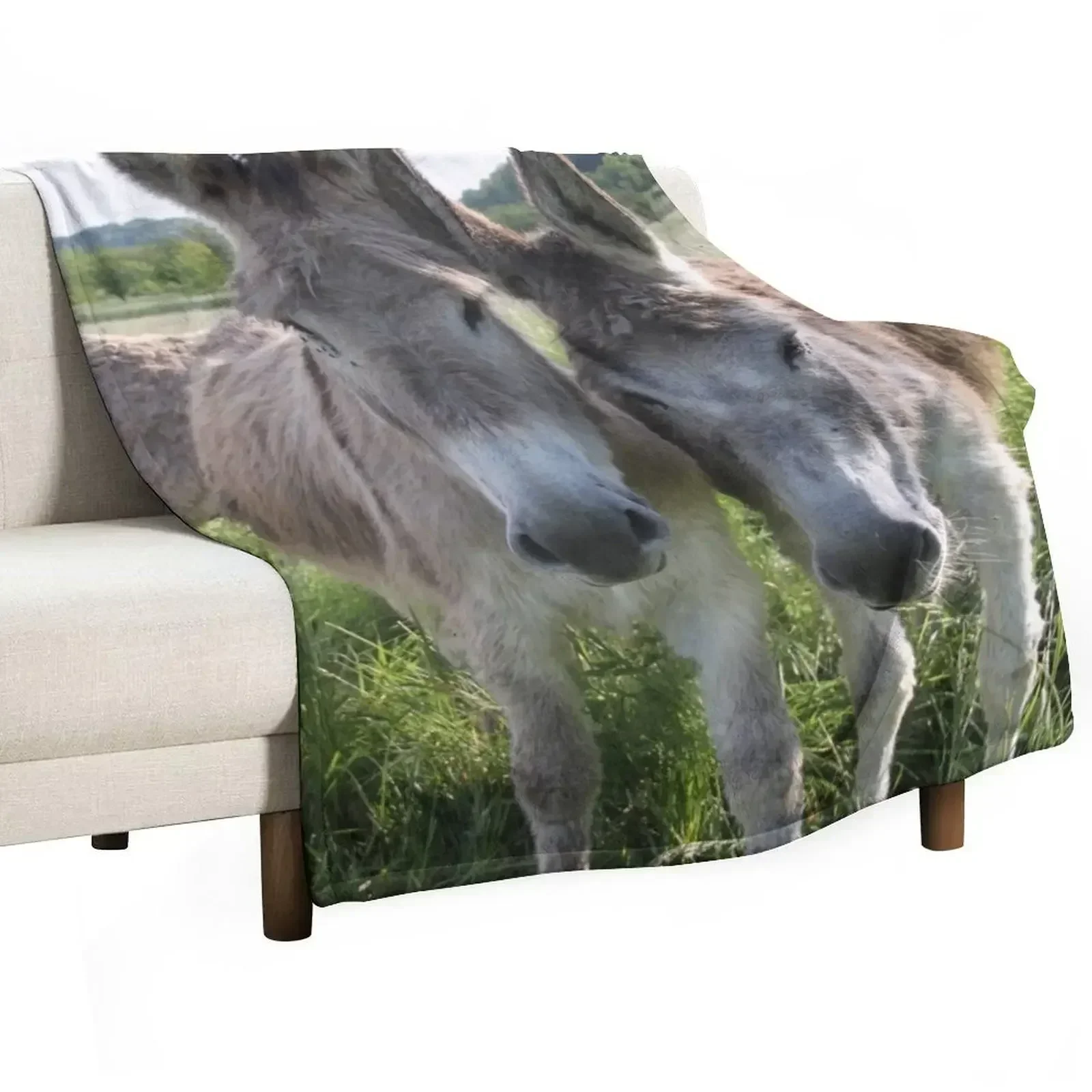 Очаровательные серые ослики в лугу с высокой травой пледы пляжное декоративное