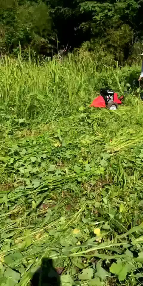 

Hot selling grass cutting machine lawn mower scythe mower for price