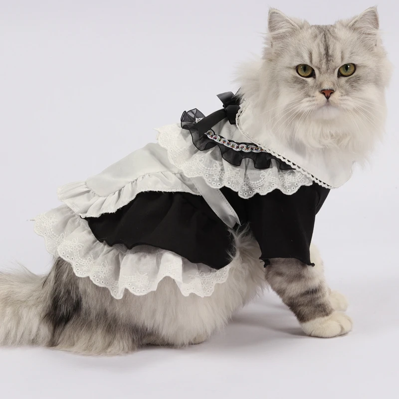 

Костюм кошки, одежда, кружевное платье котенка сфинкса, юбка горничной для косплея, домашняя одежда для вечеринки, одежда для весны и лета