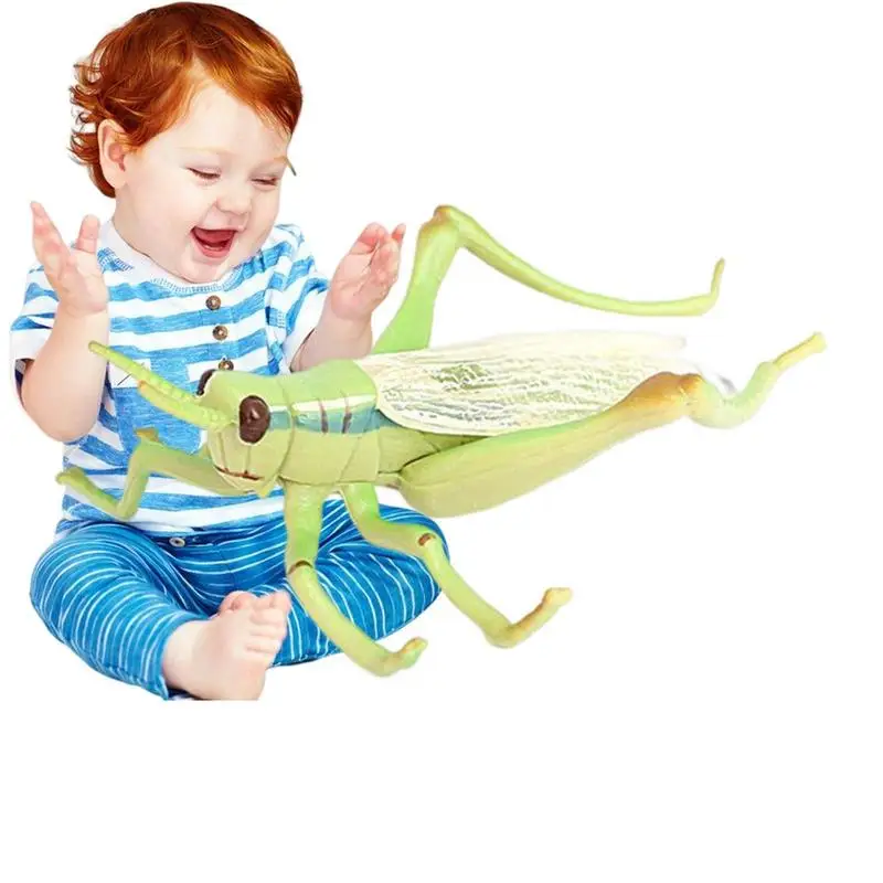 

Реалистичные детские игрушки-насекомые, фигурки насекомых, игрушки для детей